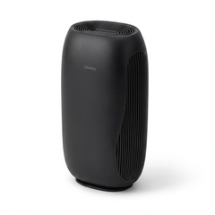 Olivethy™ PebbleAir Personal Purifier